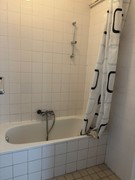 WhatsApp Image 2026-02-04 at 11.47.39.jpeg